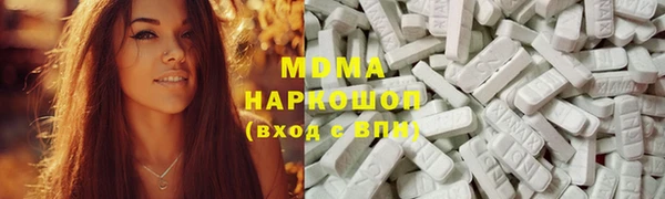 молекула духа Богданович